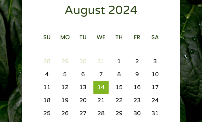 August 2024