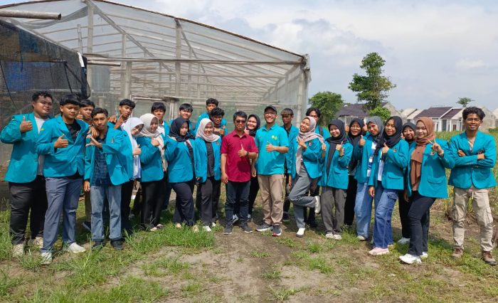 WhatsApp Image 2025-06-01 at 23.03.21 WhatsApp Image 2025-06-01 at 23.03.21