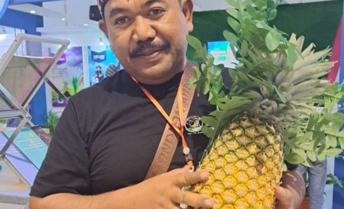 46 Madu Kelud, nanas unggulan dengan rasa lebih manis, tekstur daging lebih lembut, dan ukuran buah yang lebih besar.